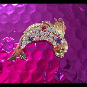 Brooch (fish)